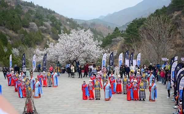 春季组织前往金山岭长城安排团建一日游