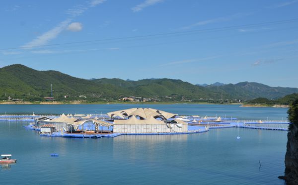 ​去平谷金海湖都能组织哪些精彩的团建活动组合