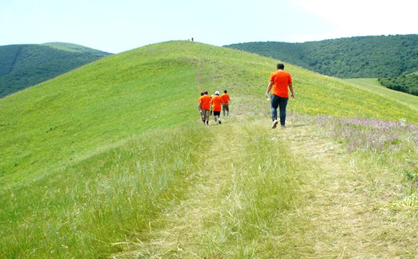 ​旅游团建活动适合几天比较好