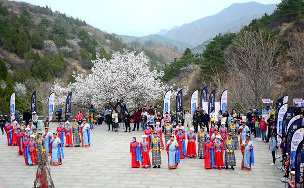 ​春季适合旅游团建活动的地点推荐