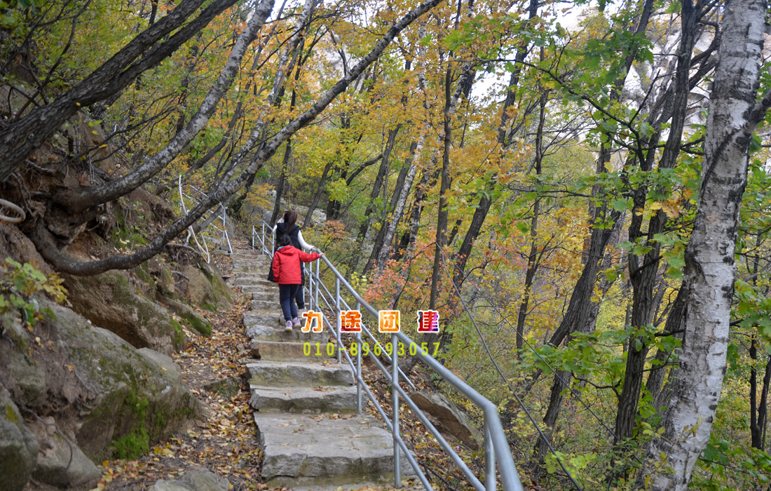 秋季公司团建